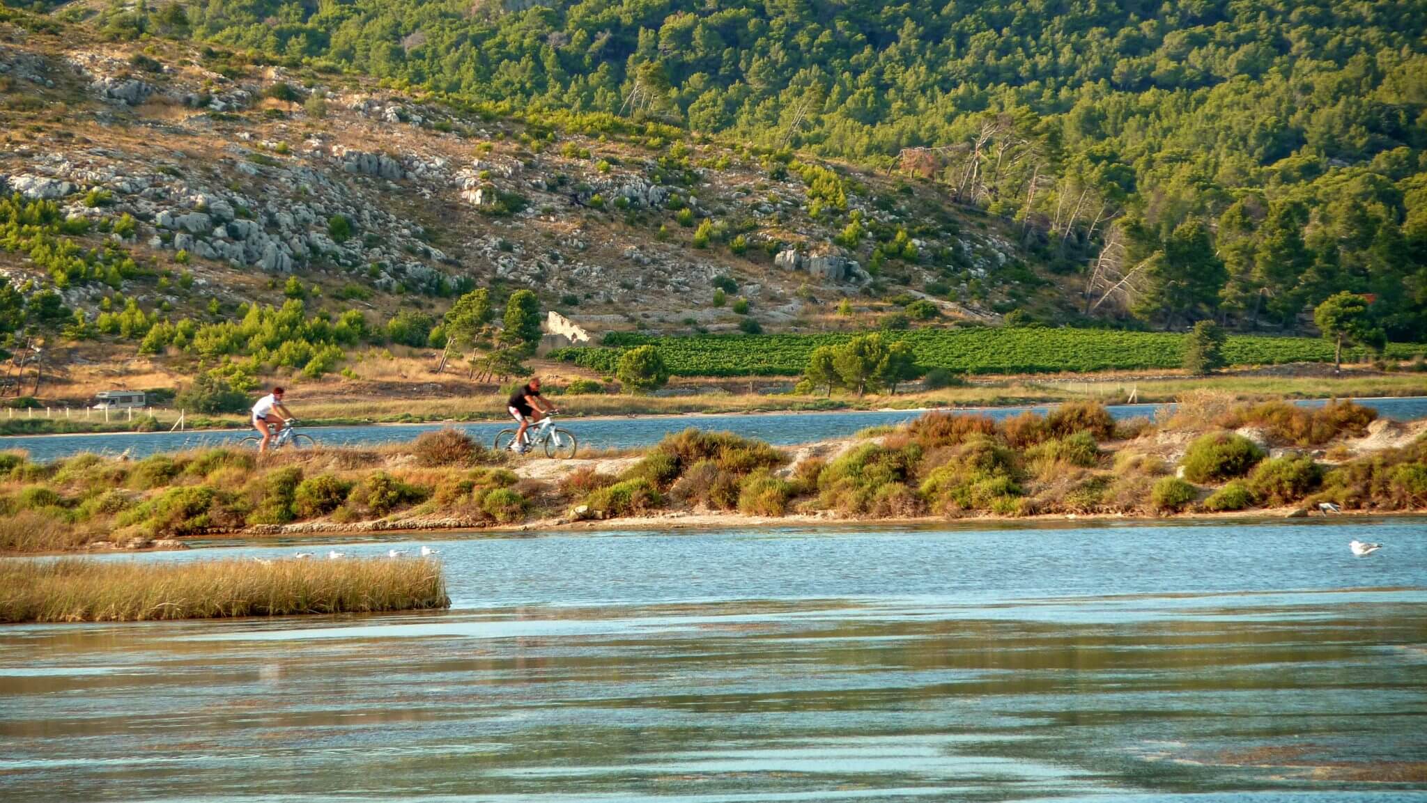 Promenade en vélo à proximité du CIS Narbonne