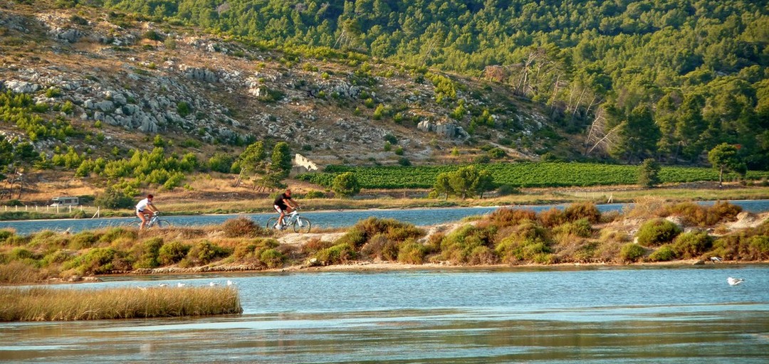 Promenade en vélo vers les étangs, entre Narbonne et Gruissan.